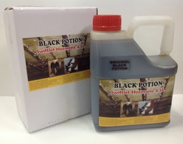 Dung dịch Black potion